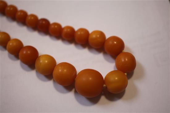 A single strand graduated amber spherical bead necklace, 19.5in.